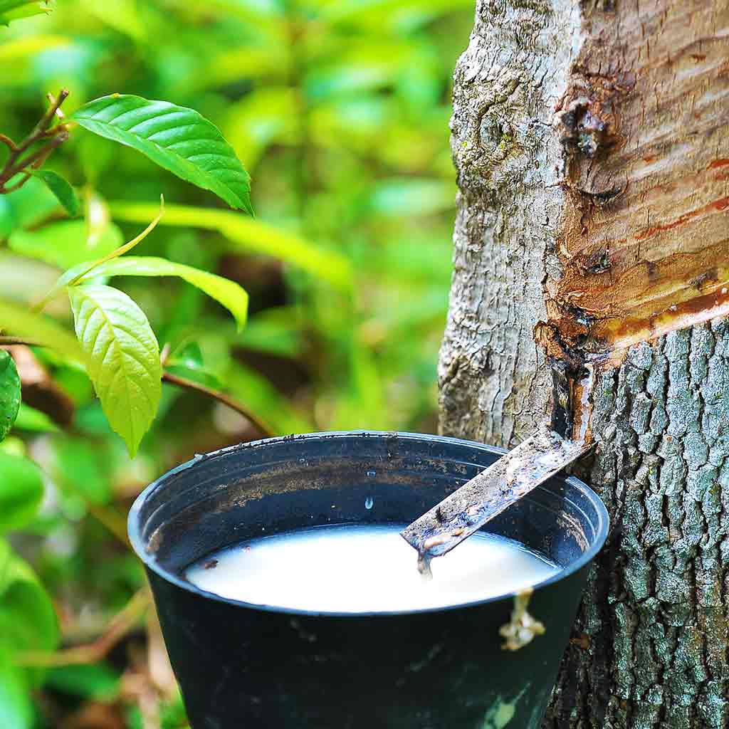 Different Types of Latex Mattresses: What You Need to Know