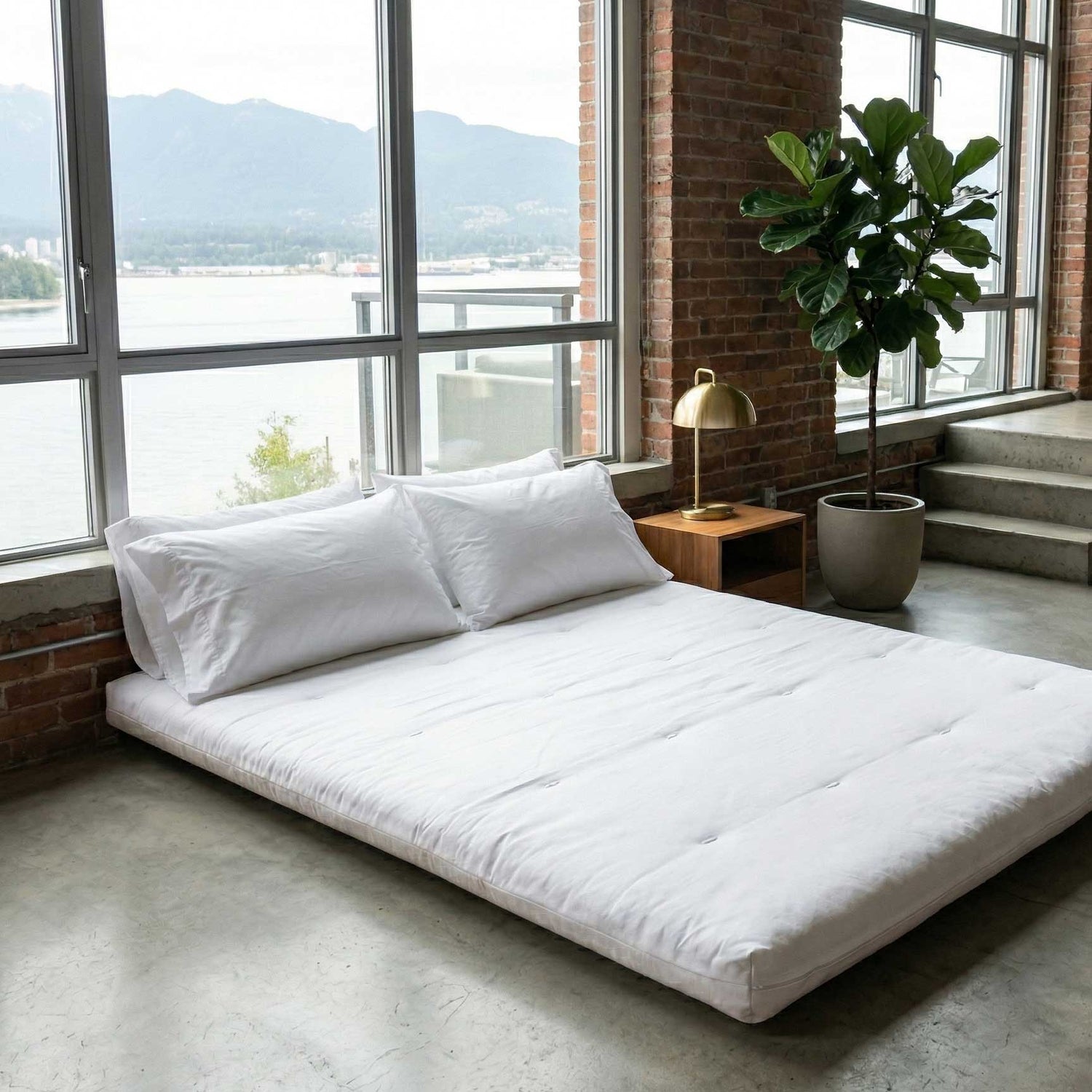 Vancouver Summer Sleeping